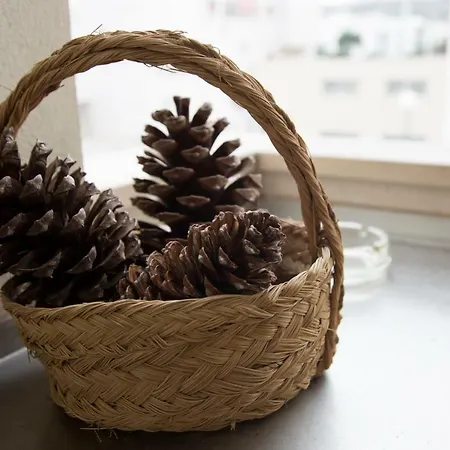 Your Home, 나자레